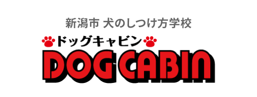 footer banner