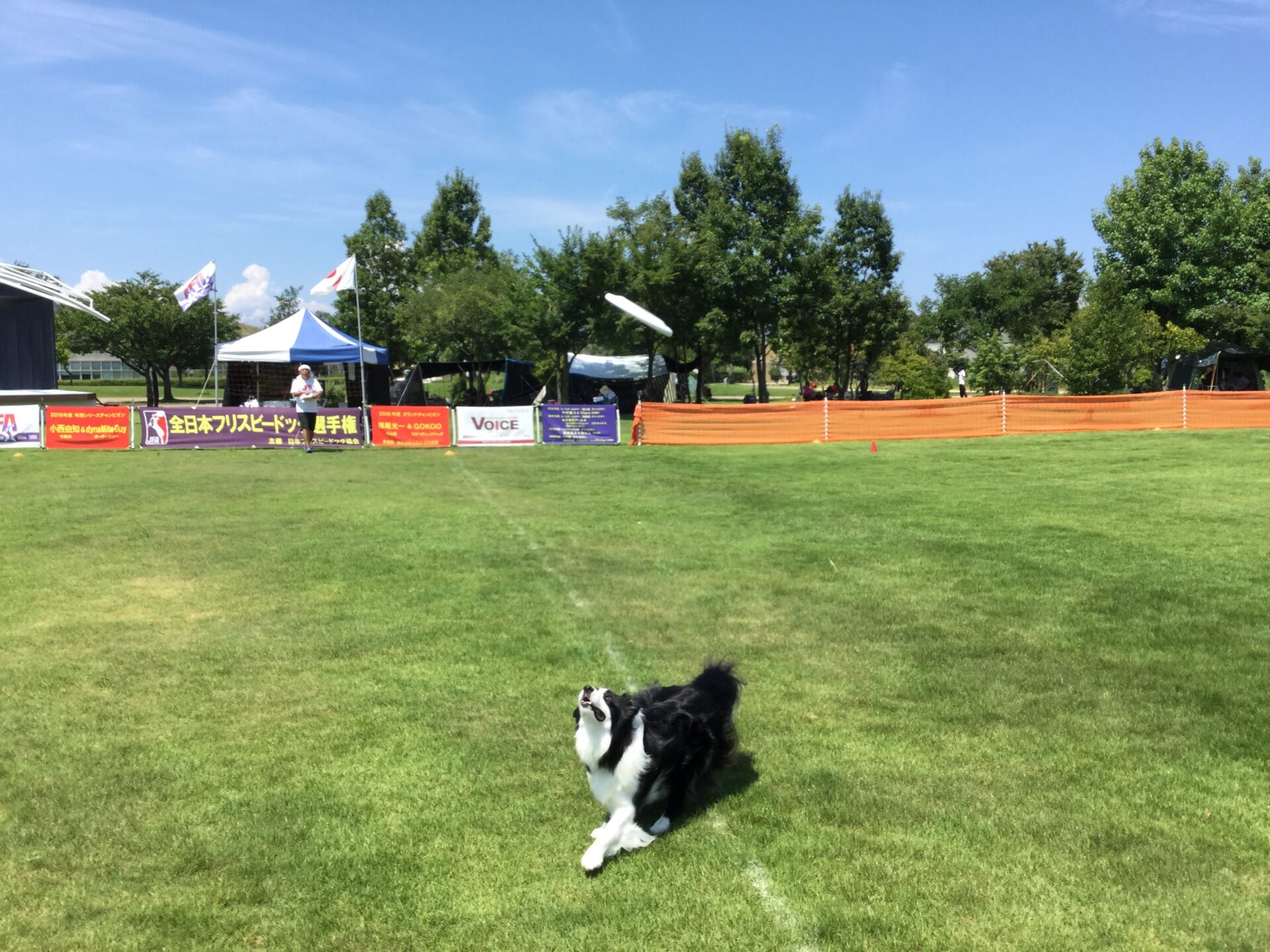 今週の大会は