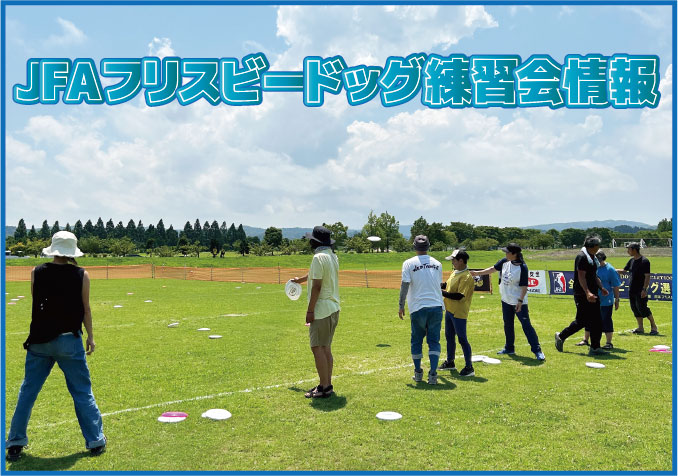 JFAフリスビードッグ練習会情報