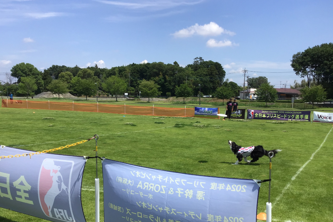 公式シリーズ選手権 第11戦 IN 群馬邑楽