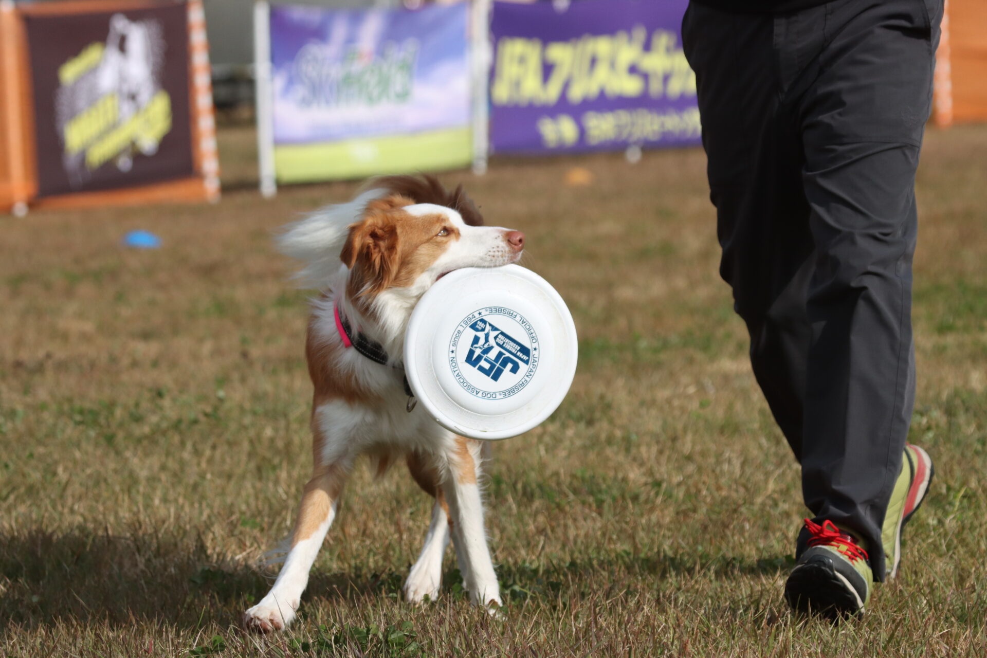 公式選手権 IN 宮城大崎