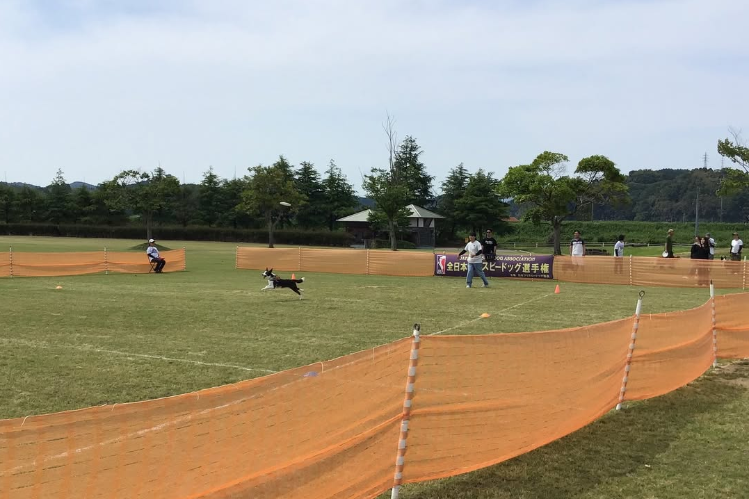 公式シリーズ選手権 第7戦 IN 富山氷見