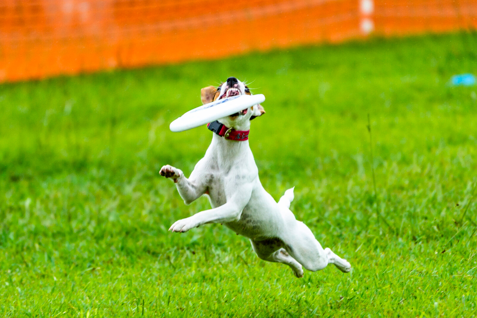 公式シリーズ選手権 第10戦 IN 長崎佐世保