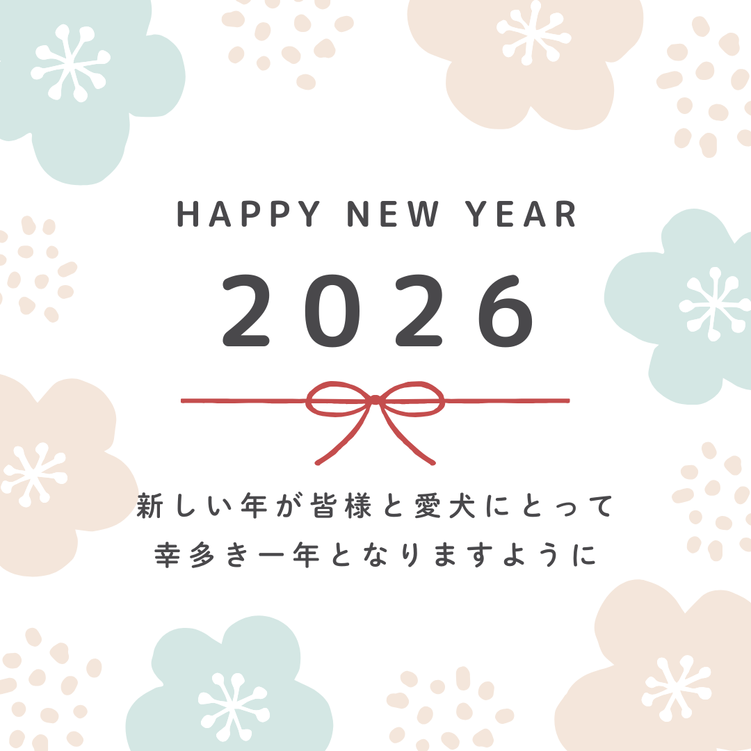あけましておめでとうございます