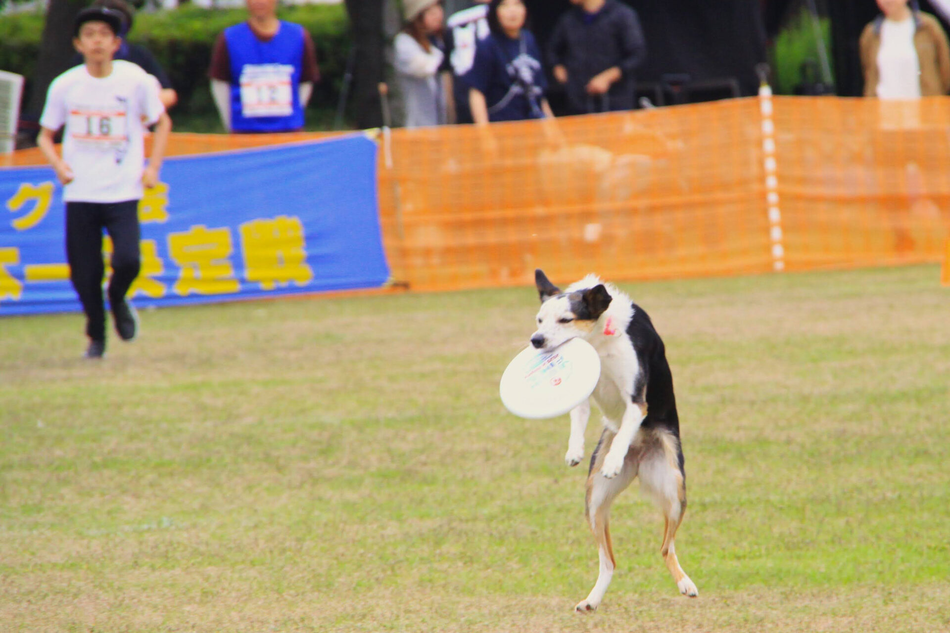 ユースオープン地区チャンピオン決定戦及びJF2026ユースオープンノミネートついて
