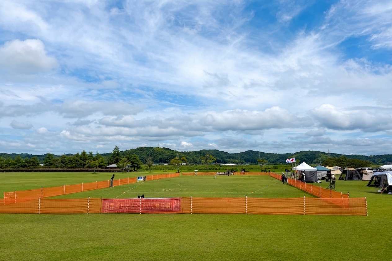 公式シリーズ選手権 第9戦 IN 富山氷見