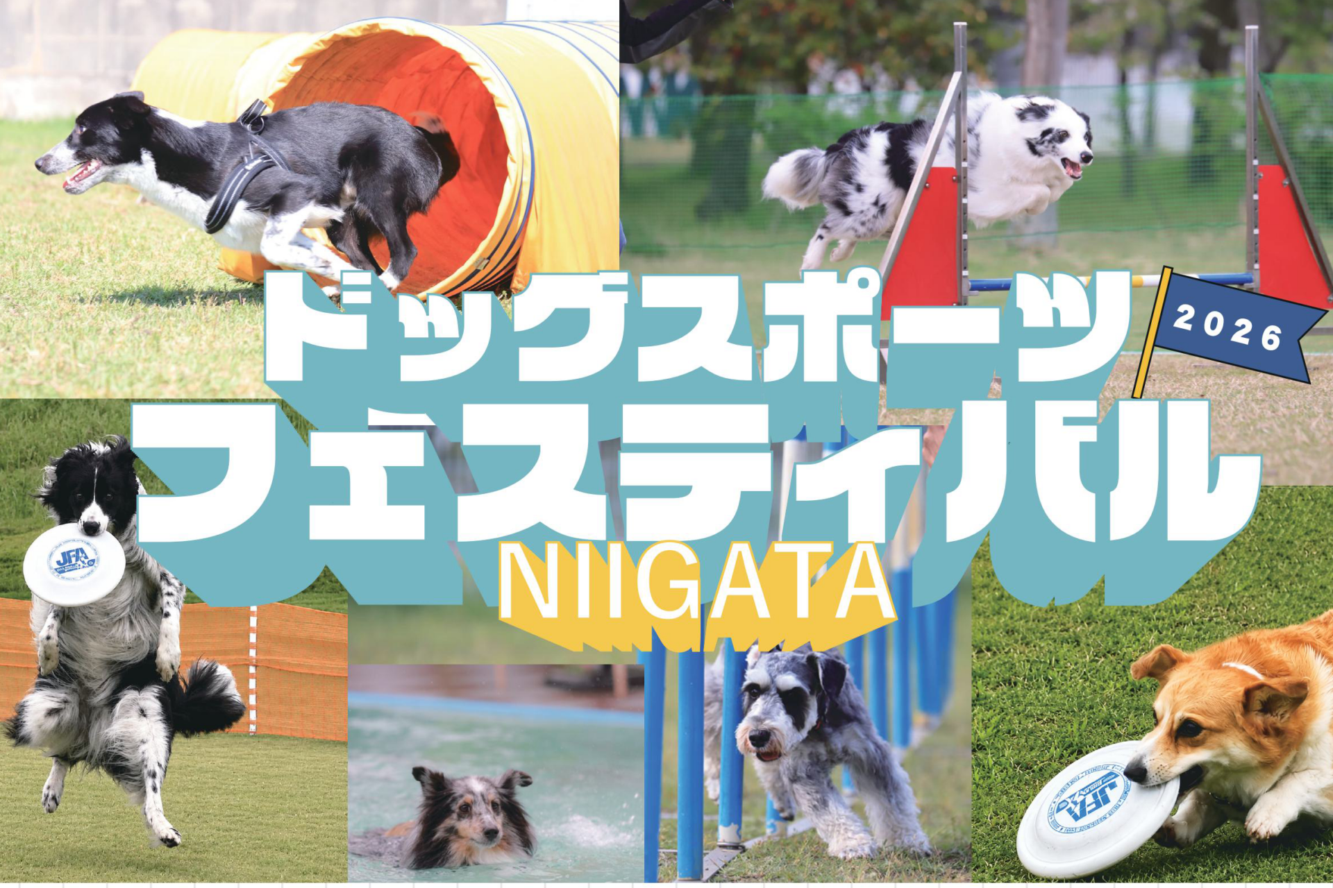ドッグスポーツフェスティバル2026 NIIGATA